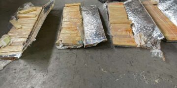 ƏRZAQ DAŞIYAN AVTOMOBİLDƏ KÜLLİ MİQDARDA NARKOTİK VASİTƏ AŞKAR EDİLİB