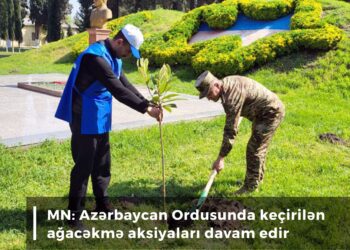 MN: Azərbaycan Ordusunda keçirilən ağacəkmə aksiyaları davam edir