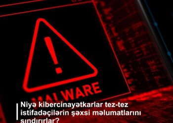 Niyə kibercinayətkarlar tez-tez istifadəçilərin şəxsi məlumatlarını sındırırlar?