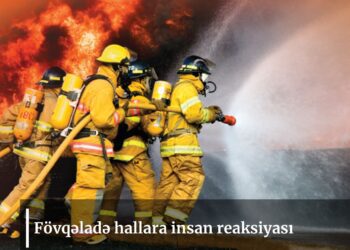 Fövqəladə hallara insan reaksiyası