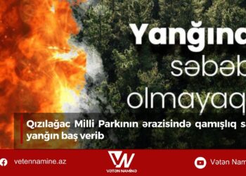 Qızılağac Milli Parkının ərazisində qamışlıq sahədə yanğın baş verib