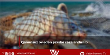 Qanunsuz ov edən şəxslər cəzalandırılıb