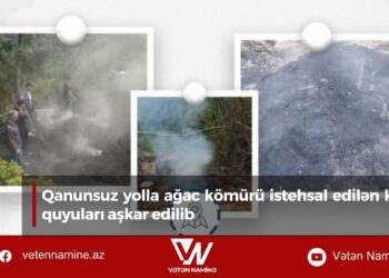 Qanunsuz yolla ağac kömürü istehsal edilən kömür quyuları aşkar edilib