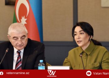 Səbinə Əliyeva: Həssas qrupdan olan vətəndaşlarımızın seçki prosesində iştirakının təmin edilməsi istiqamətində işlər aparılır