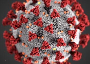 COVID-19 variantları beynəlxalq narahatlıqlara səbəb olur