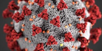 COVID-19 variantları beynəlxalq narahatlıqlara səbəb olur