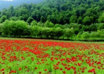 Gözəlliklərin və mədəniyyətin möhkəmləndiyi yer