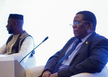 Afrikada sabitliyin yaradılması səyləri