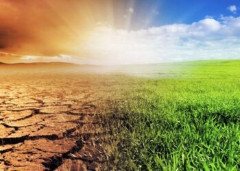 Azərbaycanın kəndlərində məsələləri və həll yolları