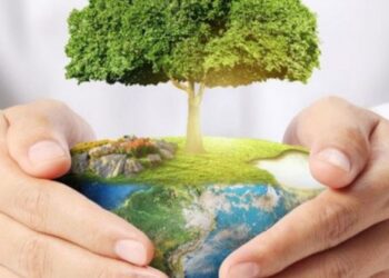 İqlim Dəyişikliyi və Ətraf Mühitin Mühafizəsi: Qlobal Fəaliyyət Planları