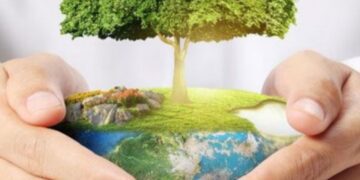 İqlim Dəyişikliyi və Ətraf Mühitin Mühafizəsi: Qlobal Fəaliyyət Planları