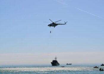 “Dalğa-2024” birgə taktiki təlimi başa çatıb